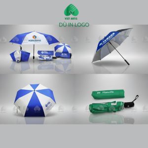 DÙ IN LOGO